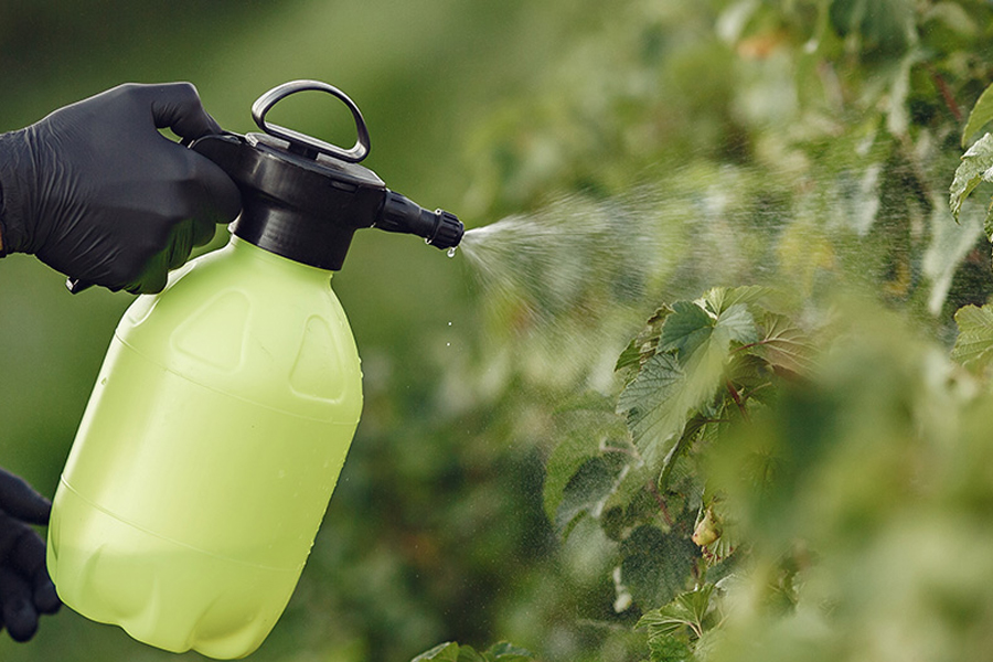 L’ACHAT, L’USAGE et la détention de produits phytosanitaires