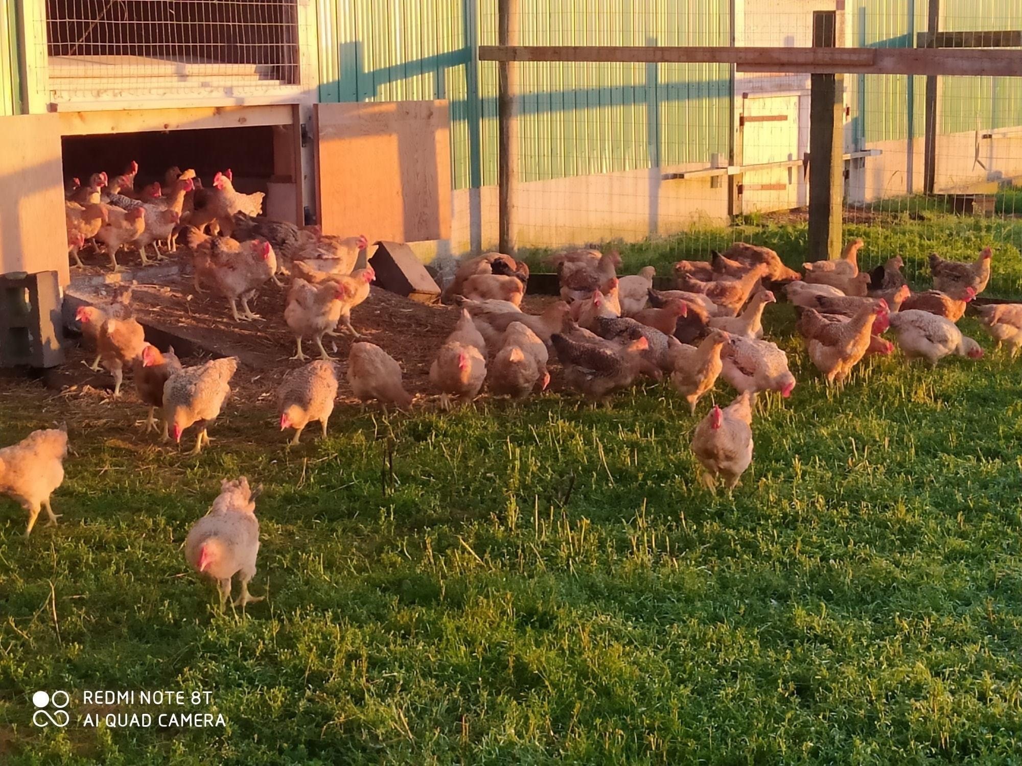 La Ferme de l'Ouest