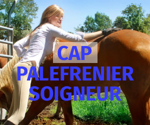 CAP Palefrenier soigneur