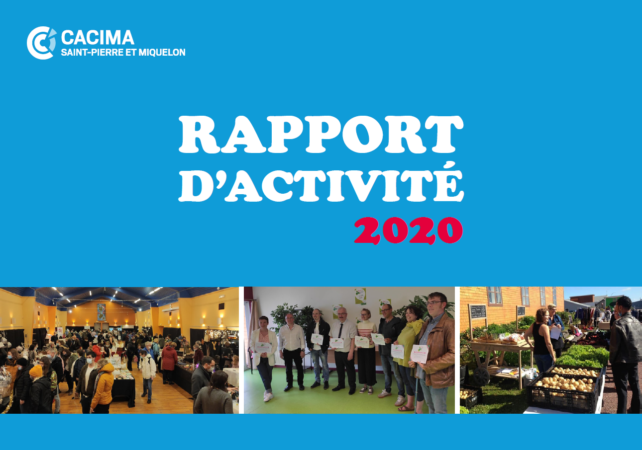 Rapport d'activité 2020