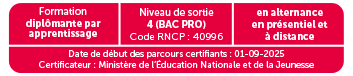 Bac Pro Maintenance de véhicules