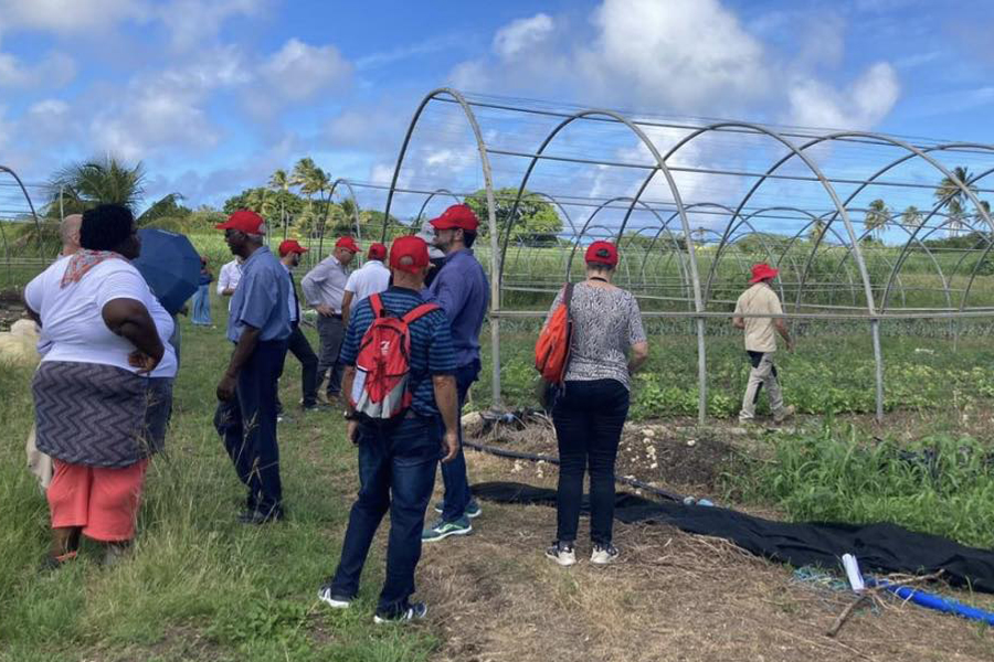 Séminaire Guadeloupe