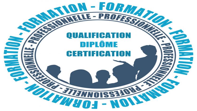 qualification professionnelle