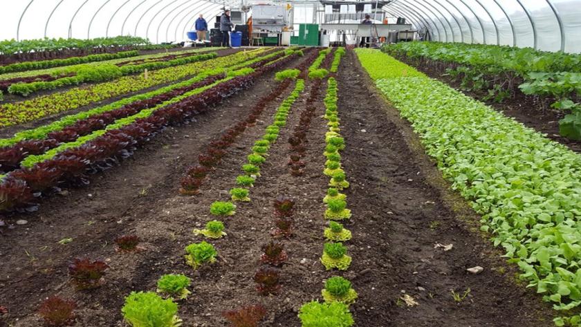 2023, UNE ANNÉE CHARNIÈRE POUR L'AGRICULTURE