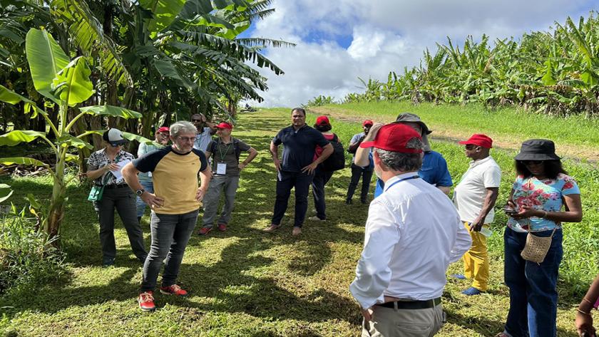 Séminaire sur l'Agriculture Ultramarine et le Changement Climatique : Des adaptations indispensables